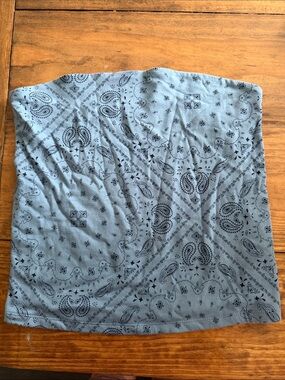 wild fable Blue Bandana-Print tube top